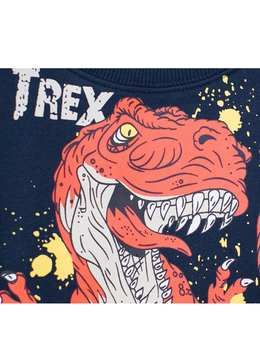 Little Kids Dinosaur Print Fleece Lined Sweatshirt