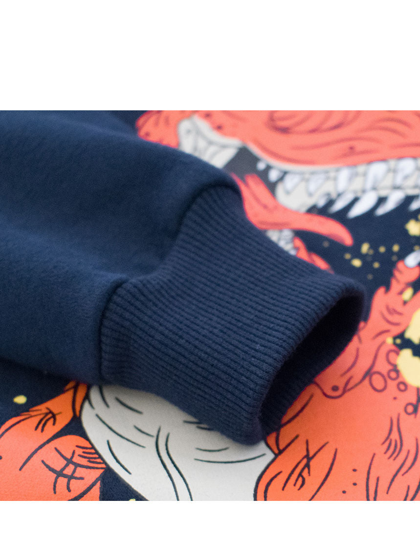 Little Kids Dinosaur Print Fleece Lined Sweatshirt