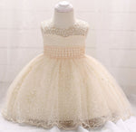 Baby Girl Beaded Birthday Mesh Frock