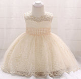 Baby Girl Beaded Birthday Mesh Frock