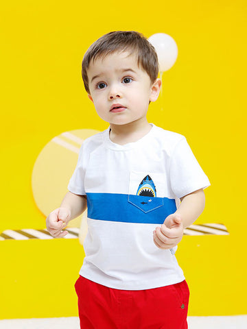 Little Boys Shark White T-shirt