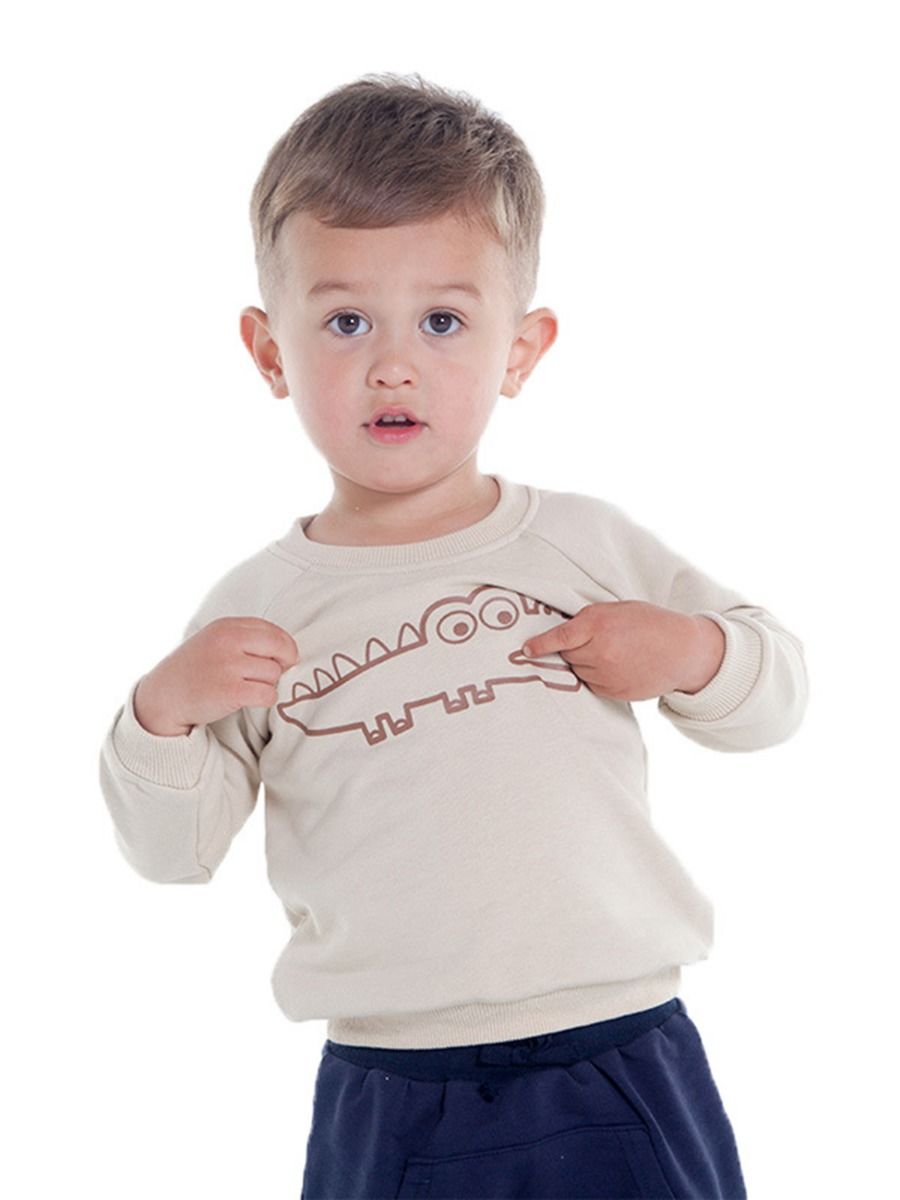Baby Little Boy Dinosaur Pullover