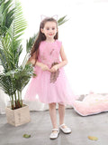 Toddler Girl Sleeveless Mesh Dress