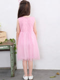 Toddler Girl Sleeveless Mesh Dress