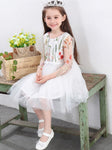 Toddler Girl Flower Print Party Dress