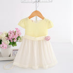 Infant & Toddler Girl Limited Edition Birthday Wedding Lace Boutique Dress