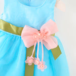 Infant & Toddler Girls Party Dress