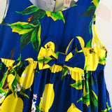 Infant & Toddler Girls Holiday Summer FLoral Lemon Dress