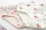 Little Girls Soft Cotton 3- Pack Underwear
